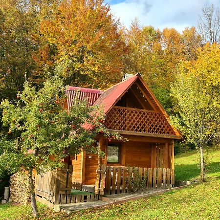 Трембіта Rakhiv Eksteriør bilde
