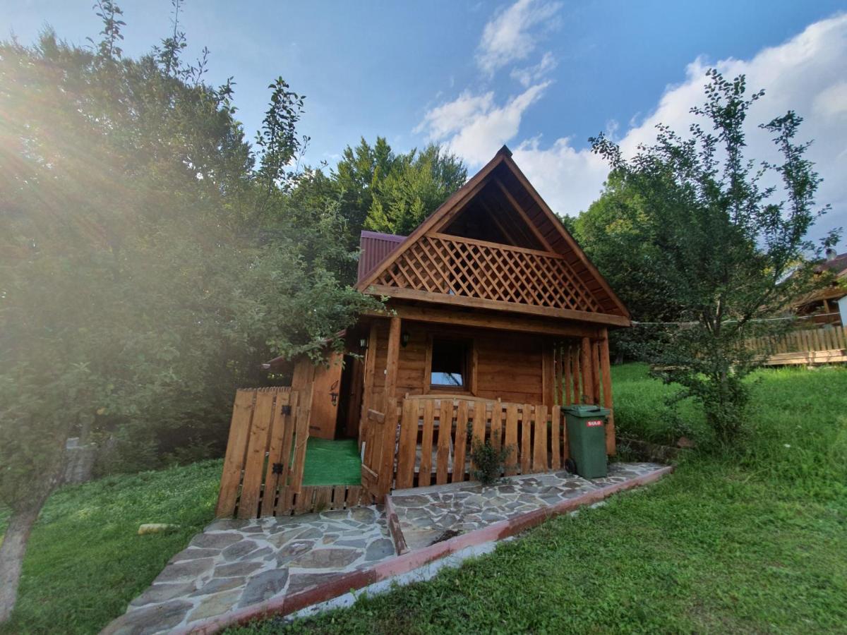 Трембіта Rakhiv Eksteriør bilde