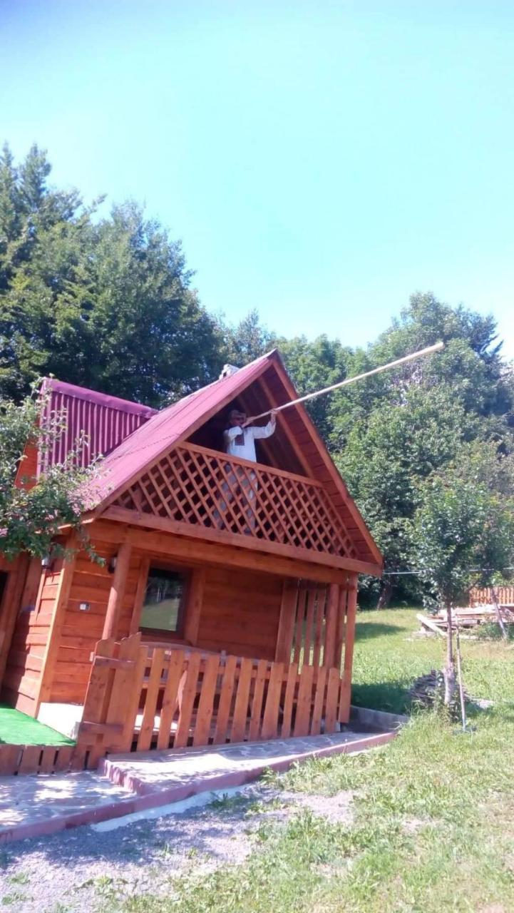 Трембіта Rakhiv Eksteriør bilde